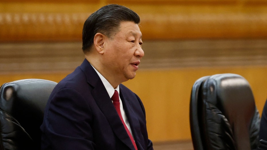 Chinese President Xi Jinping speaks