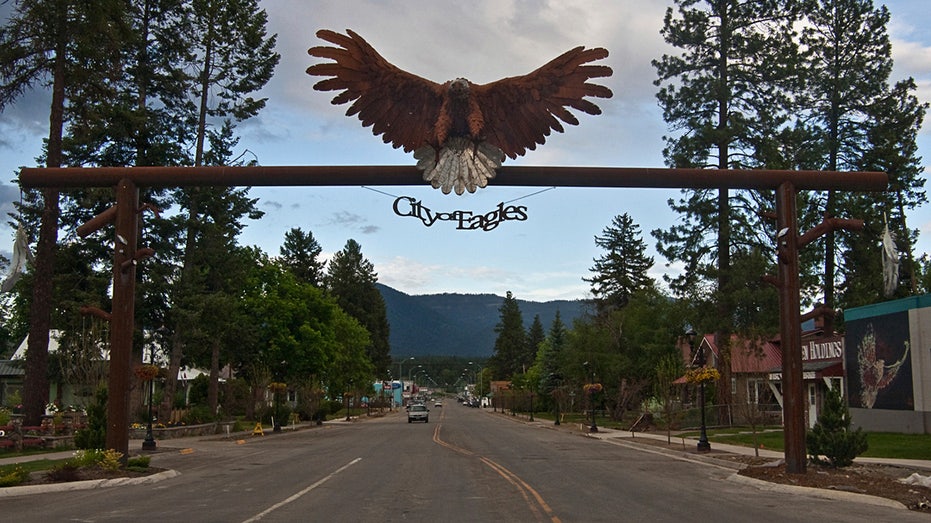 An eagle sign