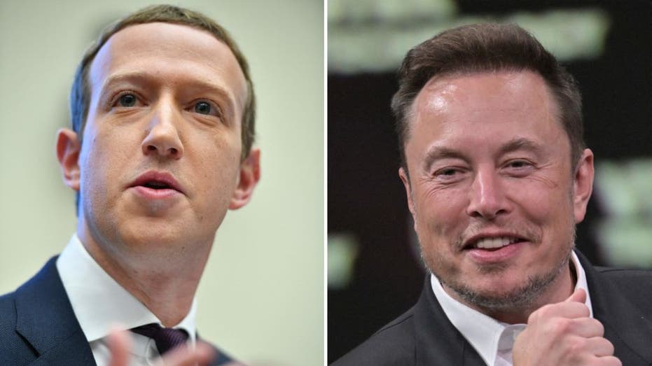 Musk and Zuckerberg