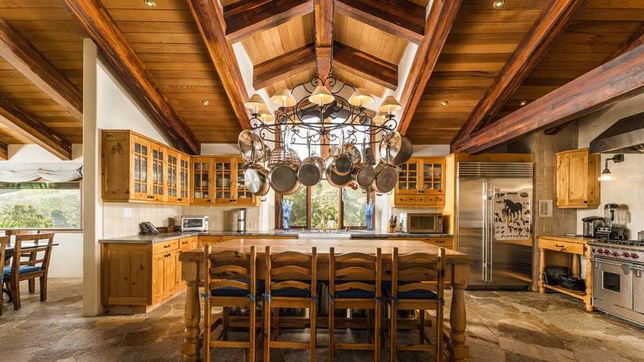 kitchen in james camerons house