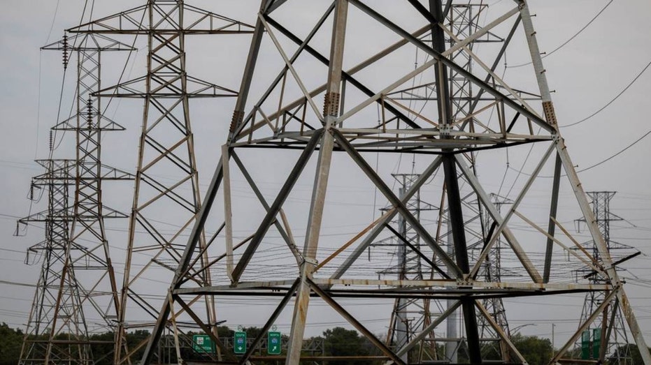 Power lines out of the Handley Generating Station in Texas