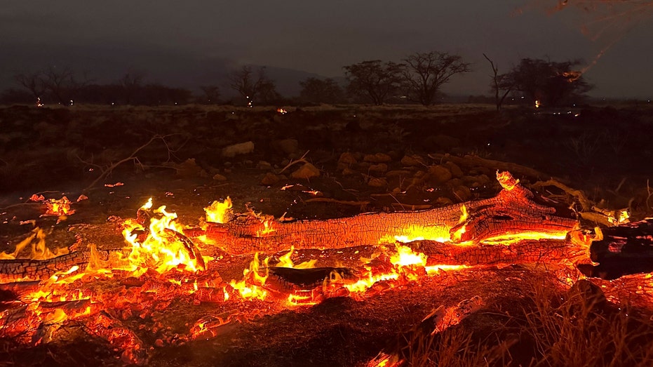 Hawaii wildfires