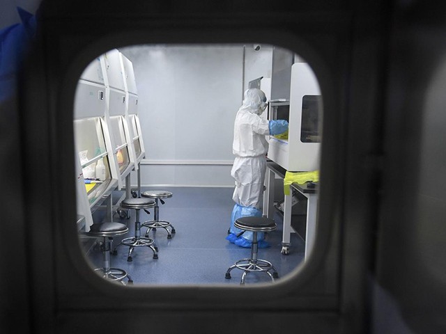 This photo taken on February 6, 2020 shows a laboratory technician working on samples from people to be tested for the new coronavirus at "Fire Eye" laboratory in Wuhan in China's central Hubei province. - BGI Group, a genome sequencing company based in southern China, said it opened on February 5 a lab in Wuhan able to test up to 10,000 people per day for the virus. The official Chinese death toll from the coronavirus outbreak rose on February 7 to 636, with the government saying total infections had climbed past 30,000. (Photo by STR / AFP) / China OUT (Photo by STR/AFP via Getty Images)