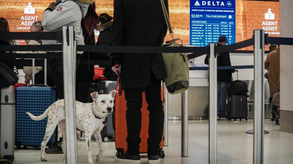 Air traveler with dog