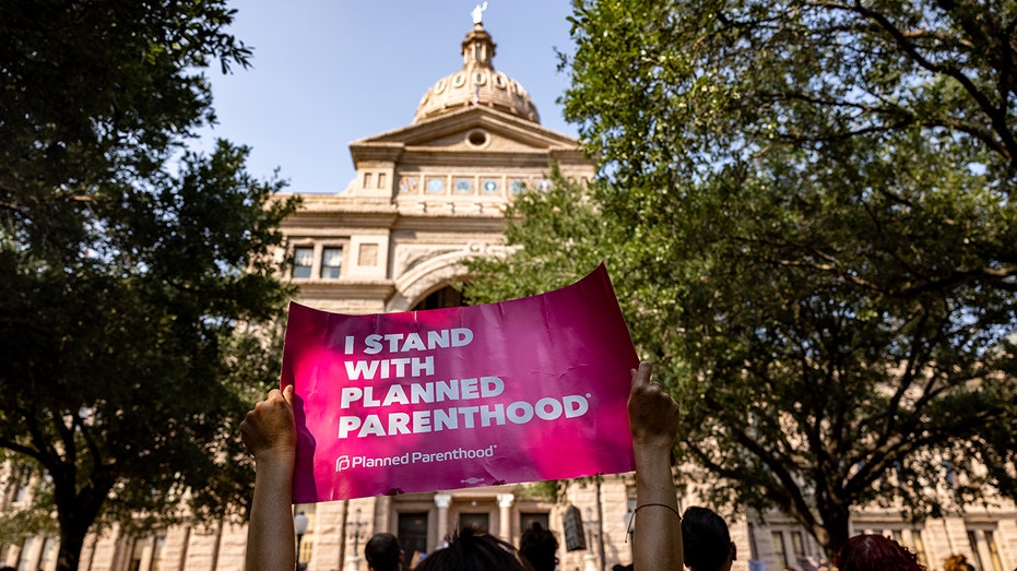 Texas legislature, protesters