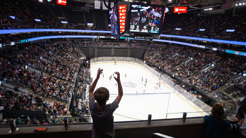 Fans at a Kings game