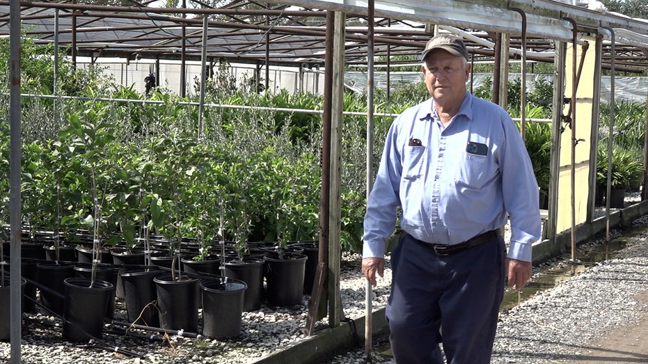 Joseph Ranatza walks through nursery