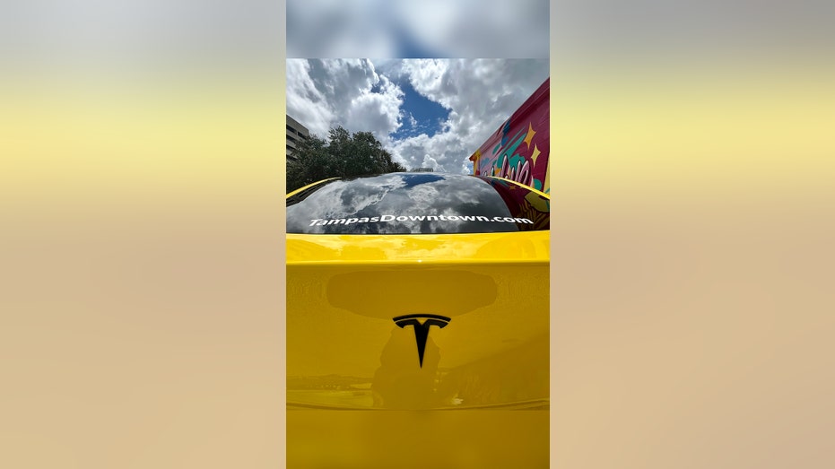 DASH Tesla Model Y back of car