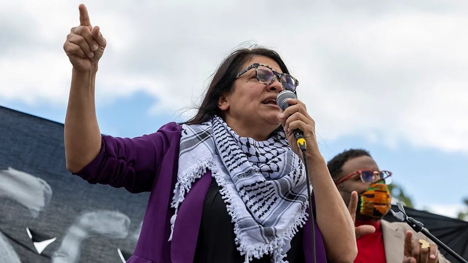 Rashida Tlaib Israel remarks