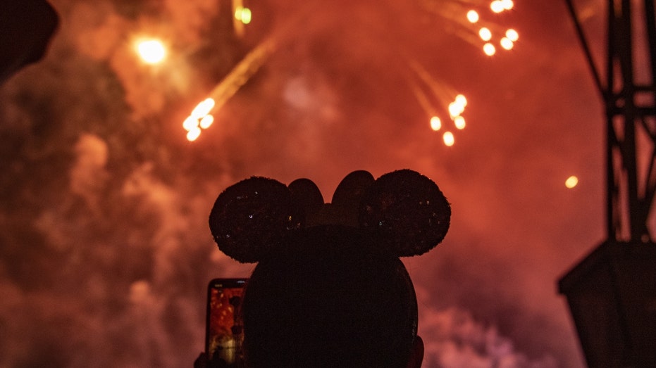 A person watches fireworks at Disney World in Florida