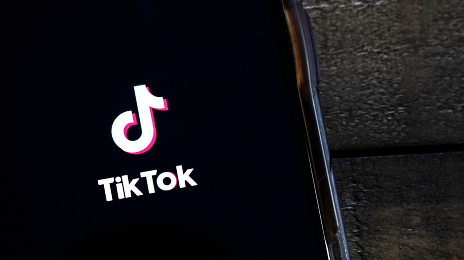 The TikTok app