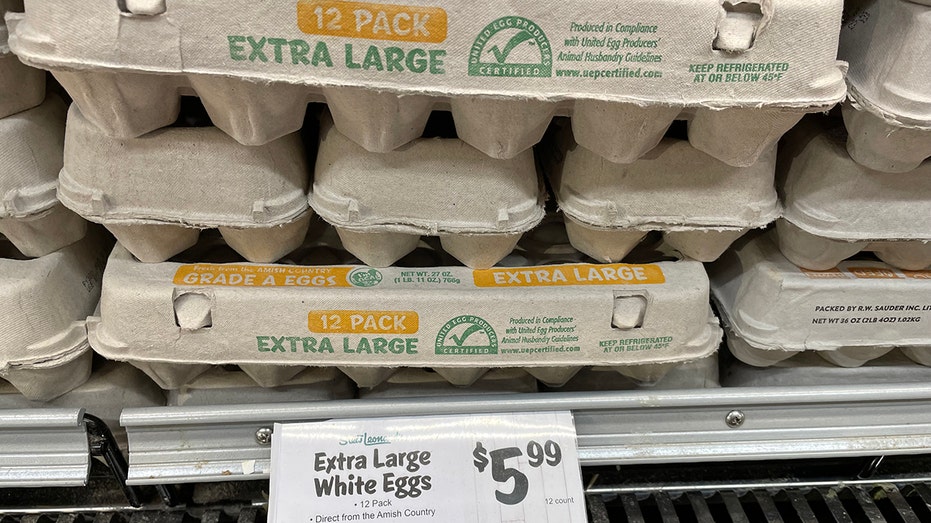 eggs