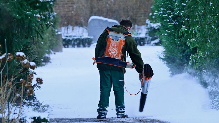 Snow leaf blower