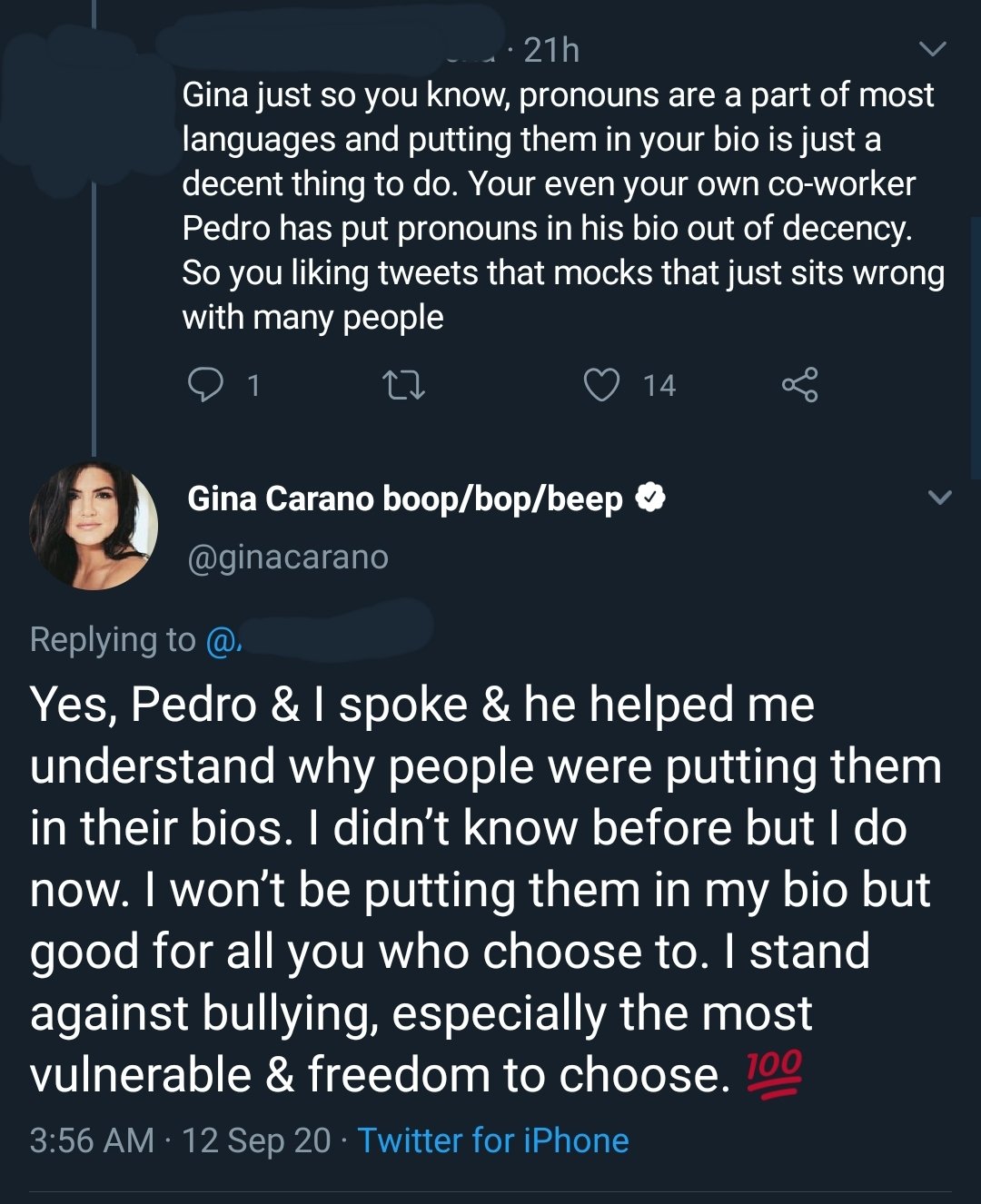 Shitty Star Wars Posts on X: "So, Gina Carano spoke to Pedro Pascal who  explained pronouns and why people have them in their names and Gina decided  to mock that. She really