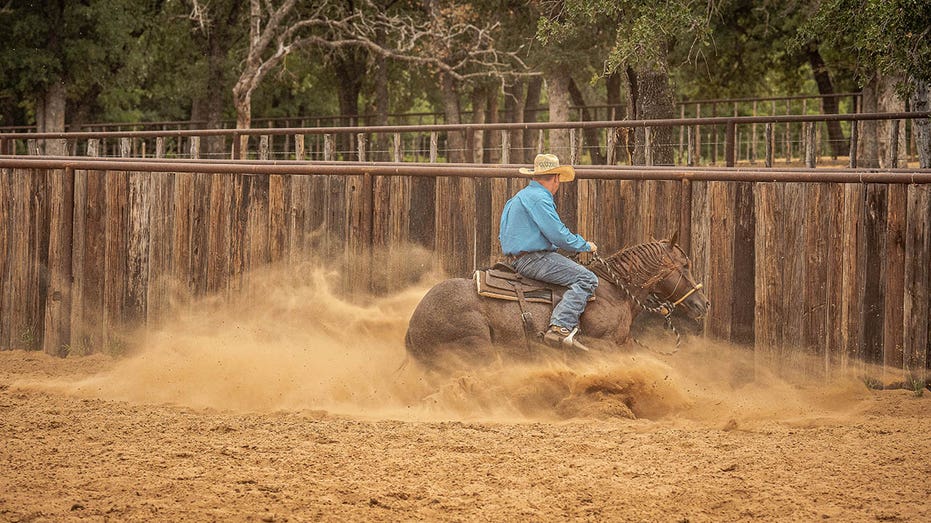 War Horses for Veterans