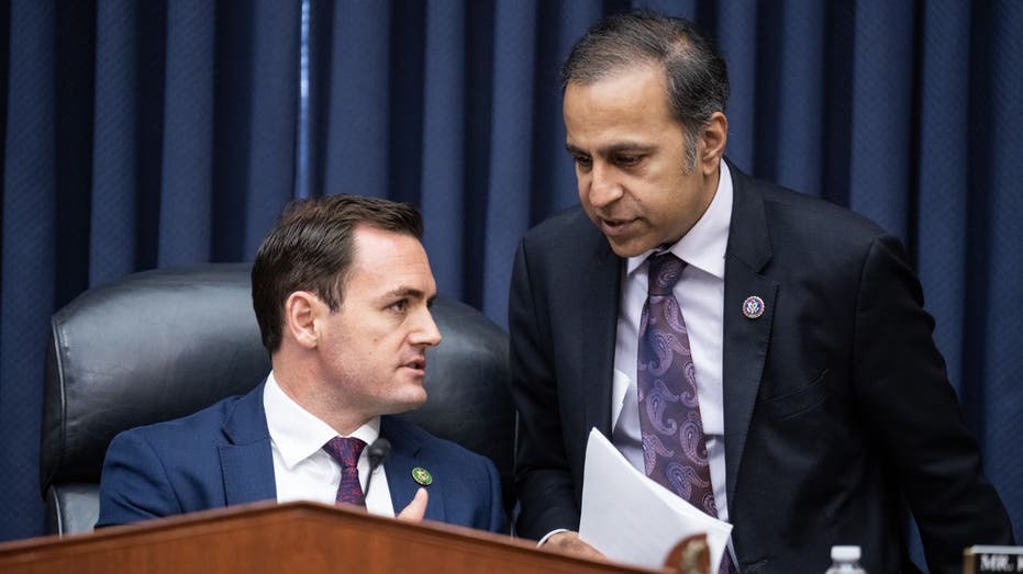 Raja Krishnamoorthi Mike Gallagher CCP Hearing