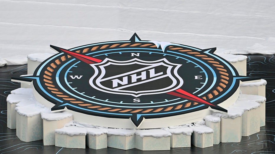 NHL logo at winter classic